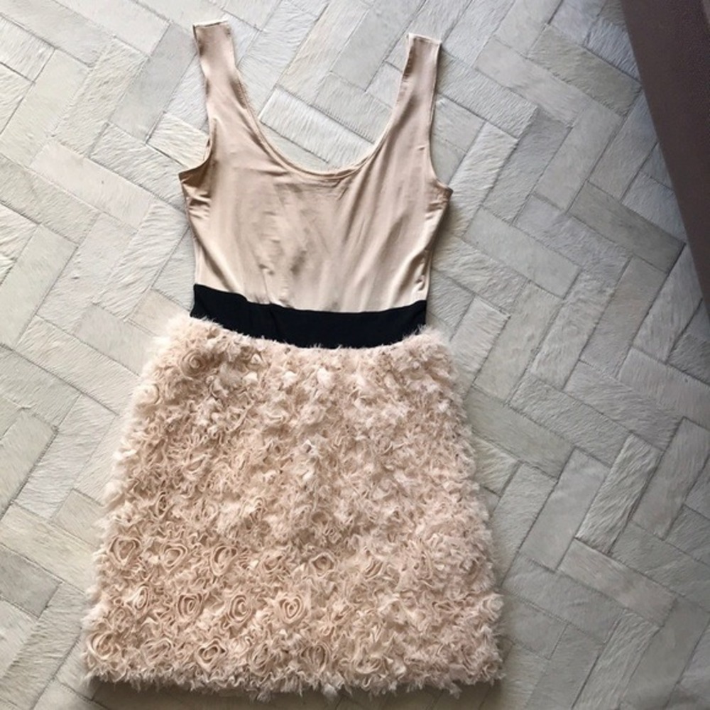 Zara Basic Rosette Mini Dress Beige Black Waistband 3D Floral Textured a5